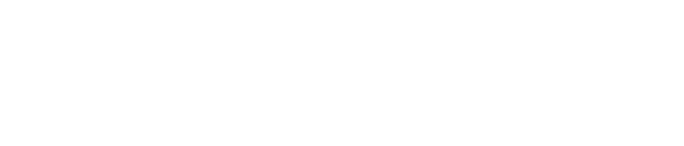 API Payment Logo
